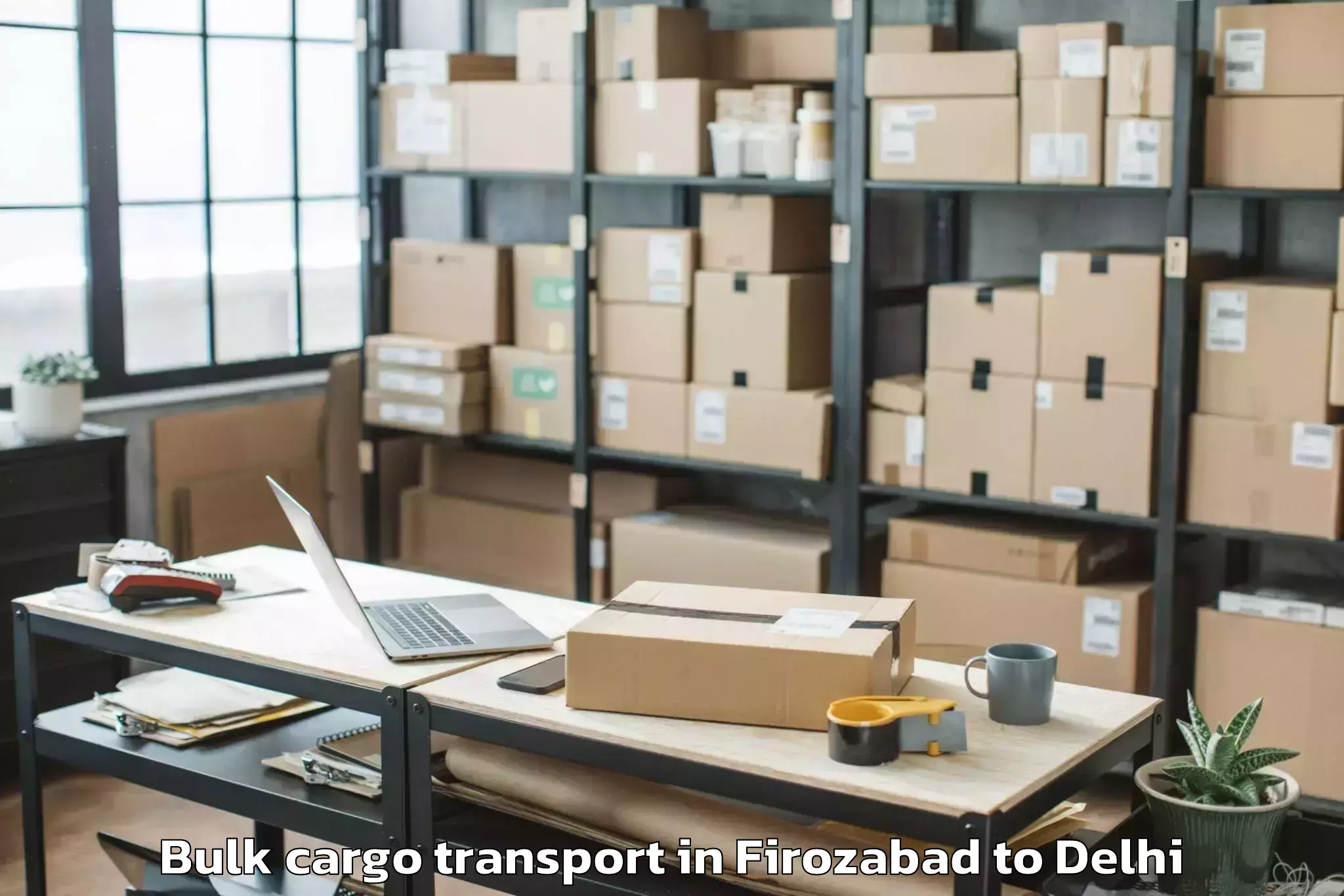 Professional Firozabad to D Mall Rohini Bulk Cargo Transport